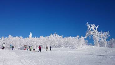 スノー スポーツとスキー / 27