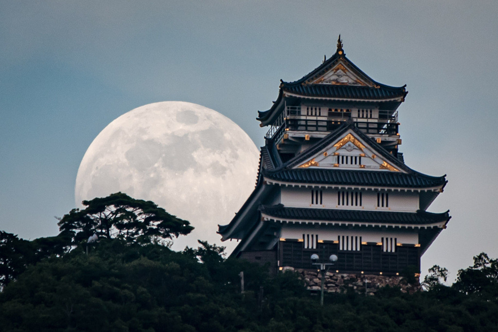 「麒麟がくる」の舞台にも！歴史ロマンを感じるスポットがいっぱい！3518282