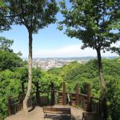 岡山国際ホテル（岡山県 シティホテル） / 5