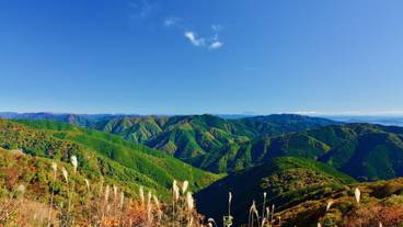 観光スポット / 5