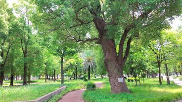 子供用の遊び場 - 屋外 / 7