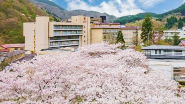 メイン イメージ / 1