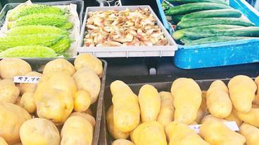 レストラン / 10