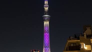 施設からの眺望 / 7