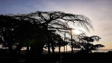 施設からの眺望 / 13