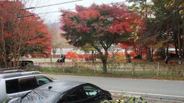 テラス / パティオ / 13