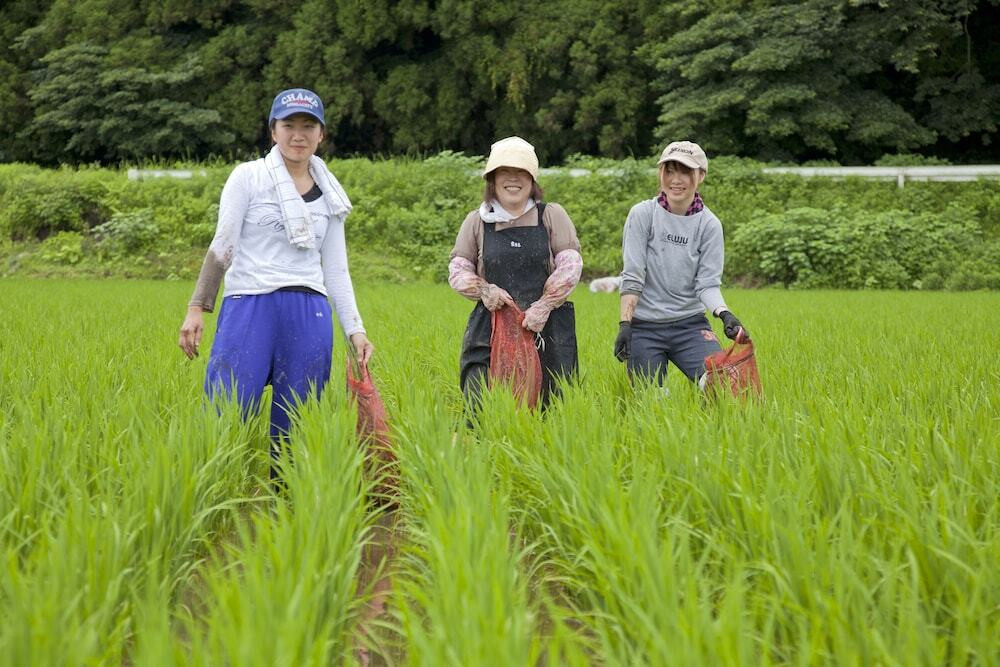 マウンテン ビュー
