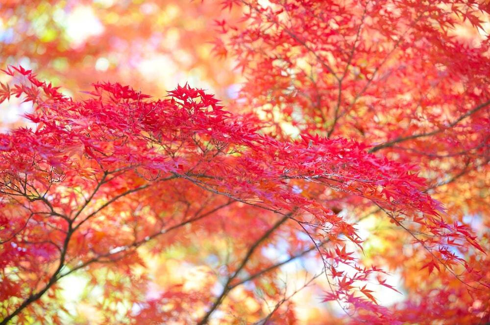 施設からの眺望