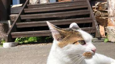 施設の敷地 / 13