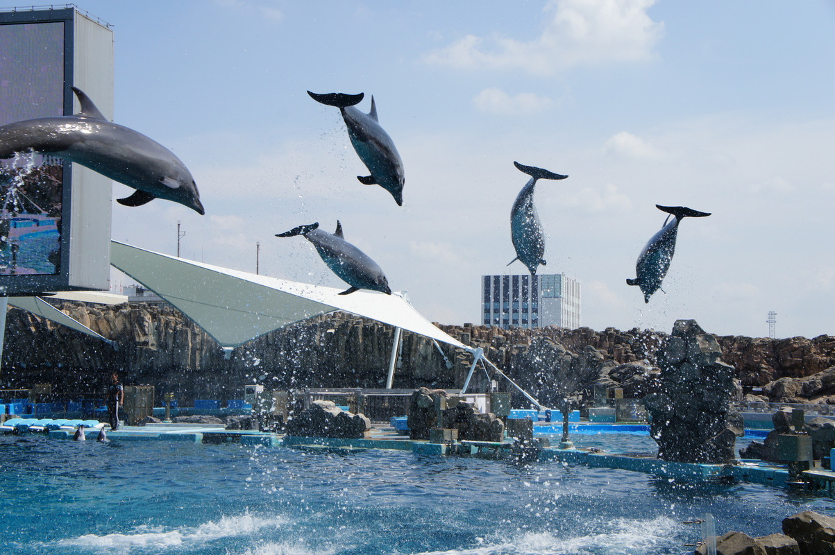 名古屋港水族館