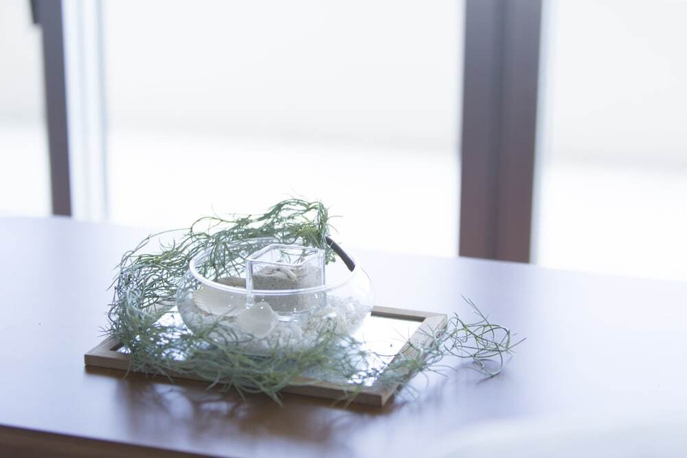 リビング エリア