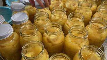 専用キッチン / 14