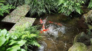 施設内の設備 / 1