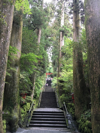 箱根神社702652
