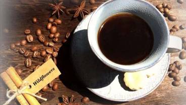 レストラン / 10