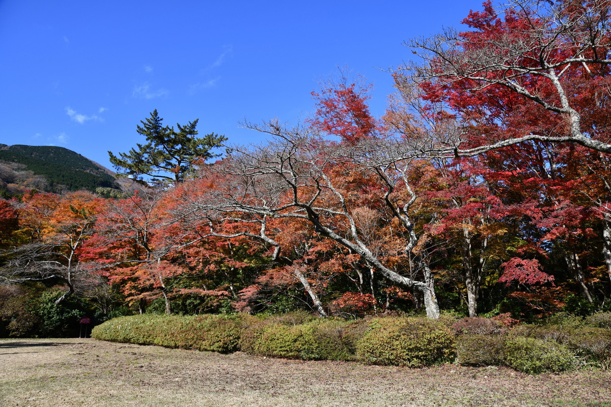 箱根小涌谷温泉 水の音(ハコネコワクダニオンセン ミズノト) / 3