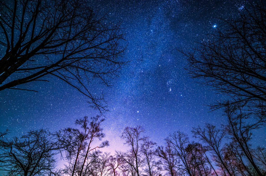 キラキラ輝く星と温泉に癒されましょ4085152