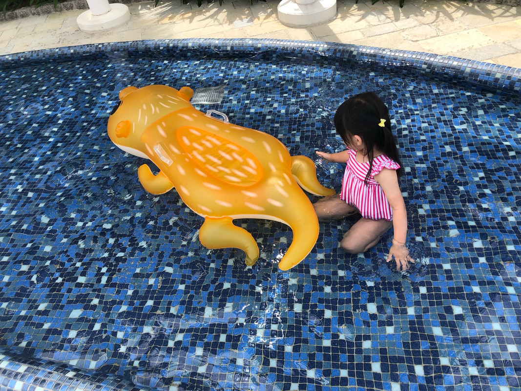 nontanmm18さんの写真 / 3