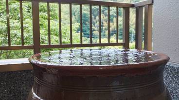 下賀茂温泉 花のおもてなし南楽（シモガモオンセン ハナノオモテナシナンラク） / 5