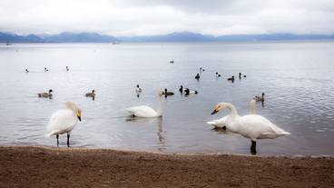 観光スポット / 2