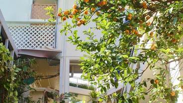 施設の敷地 / 11