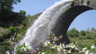 施設の敷地 / 25