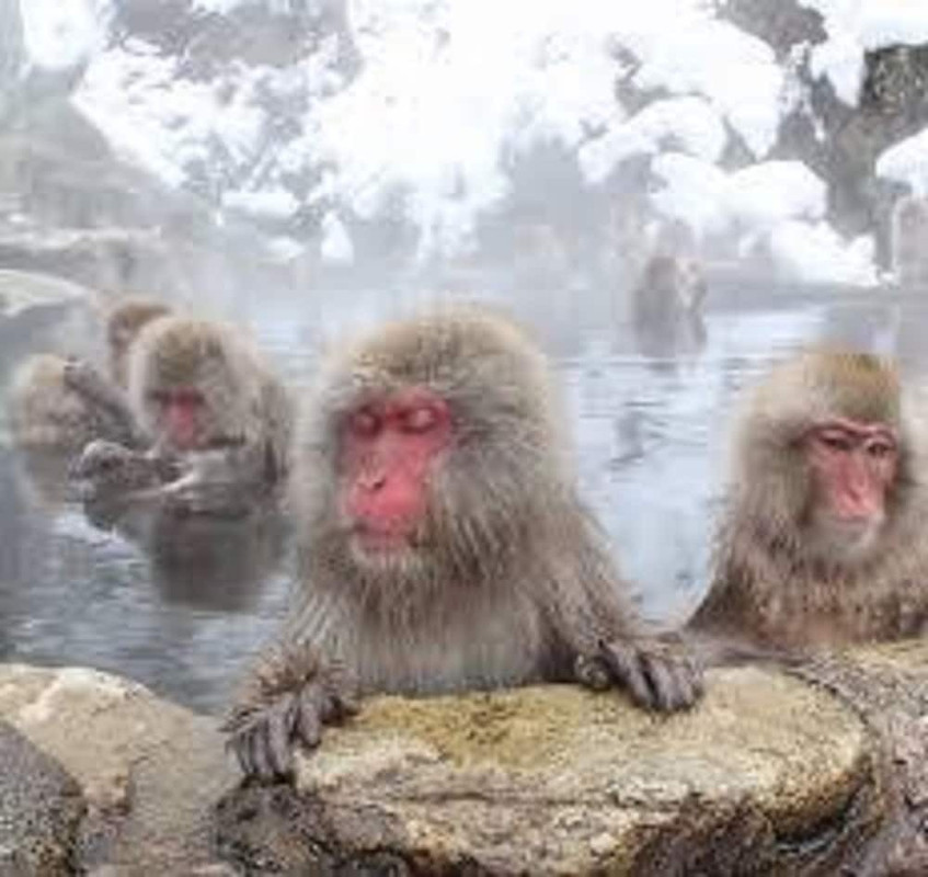 子供向けアクティビティ