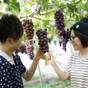 【季節の果物狩り＆パフェ作り体験♪】ご家族や気の合うお友達との思い出作りに！ | 四万温泉　四万やまぐち館