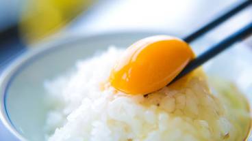 食事・飲み物 / 5