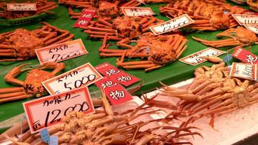 観光スポット / 13