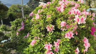 施設からの眺望 / 17