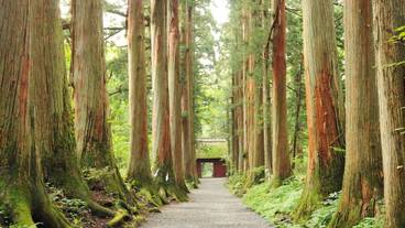 観光スポット / 4