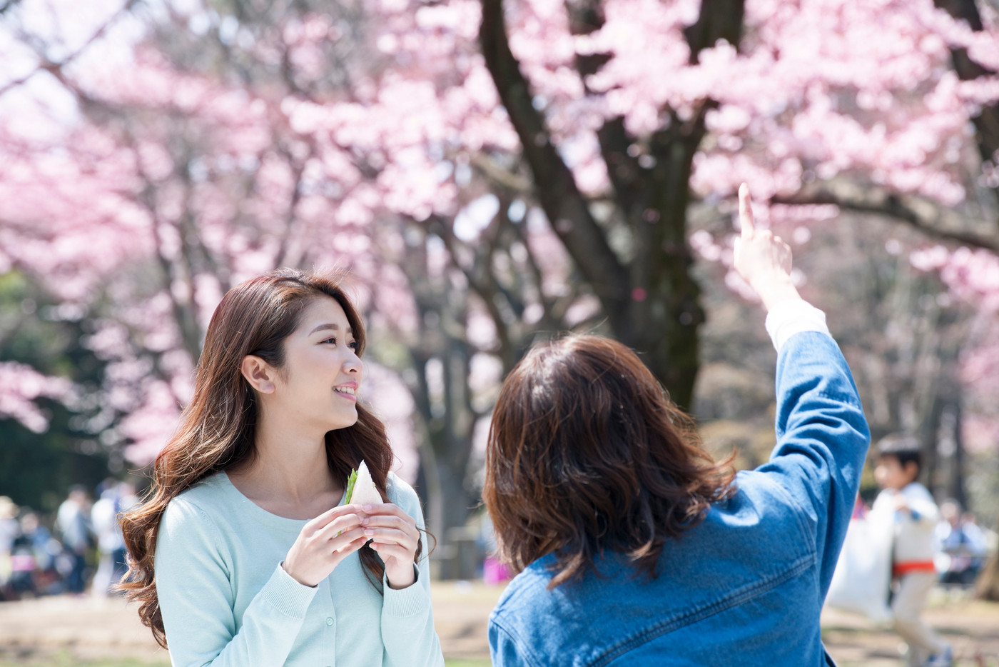 桜　お花見　女性　ライフスタイル　染井吉野