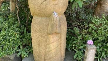 観光スポット / 16