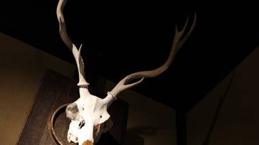 内装の詳細 / 12