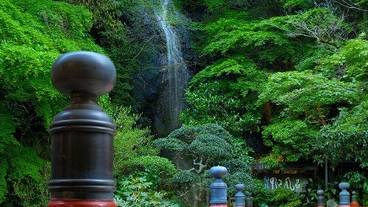 湯河原温泉 青巒荘（せいらんそう）（ユガワラオンセン　セイランソウ） / 1