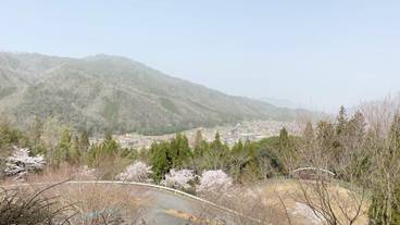 施設からの眺望 / 19