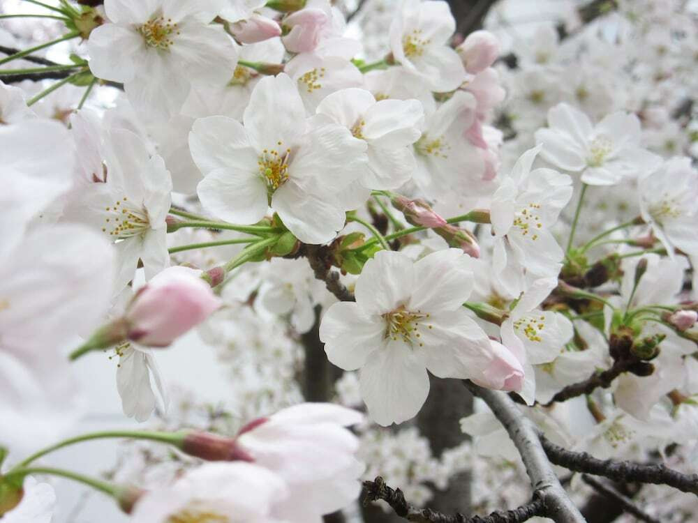 施設からの眺望