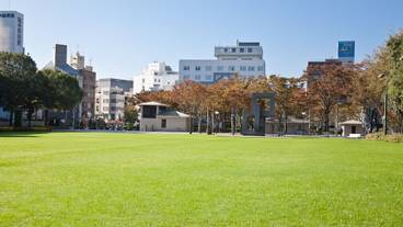 パーク ビュー / 17