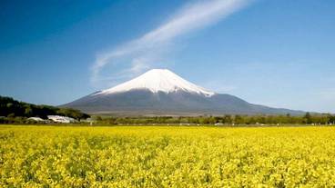 ランド ビュー / 23