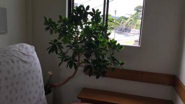 専用キッチン / 16