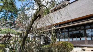 観光スポット / 25