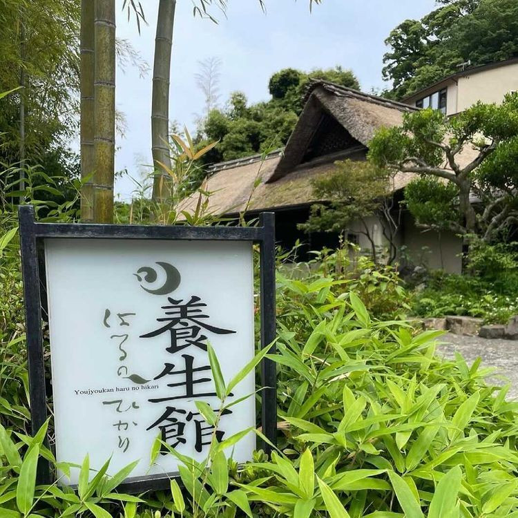 saho_bambi.0717さんの写真 / 1