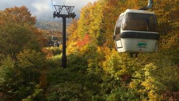 施設の敷地 / 26