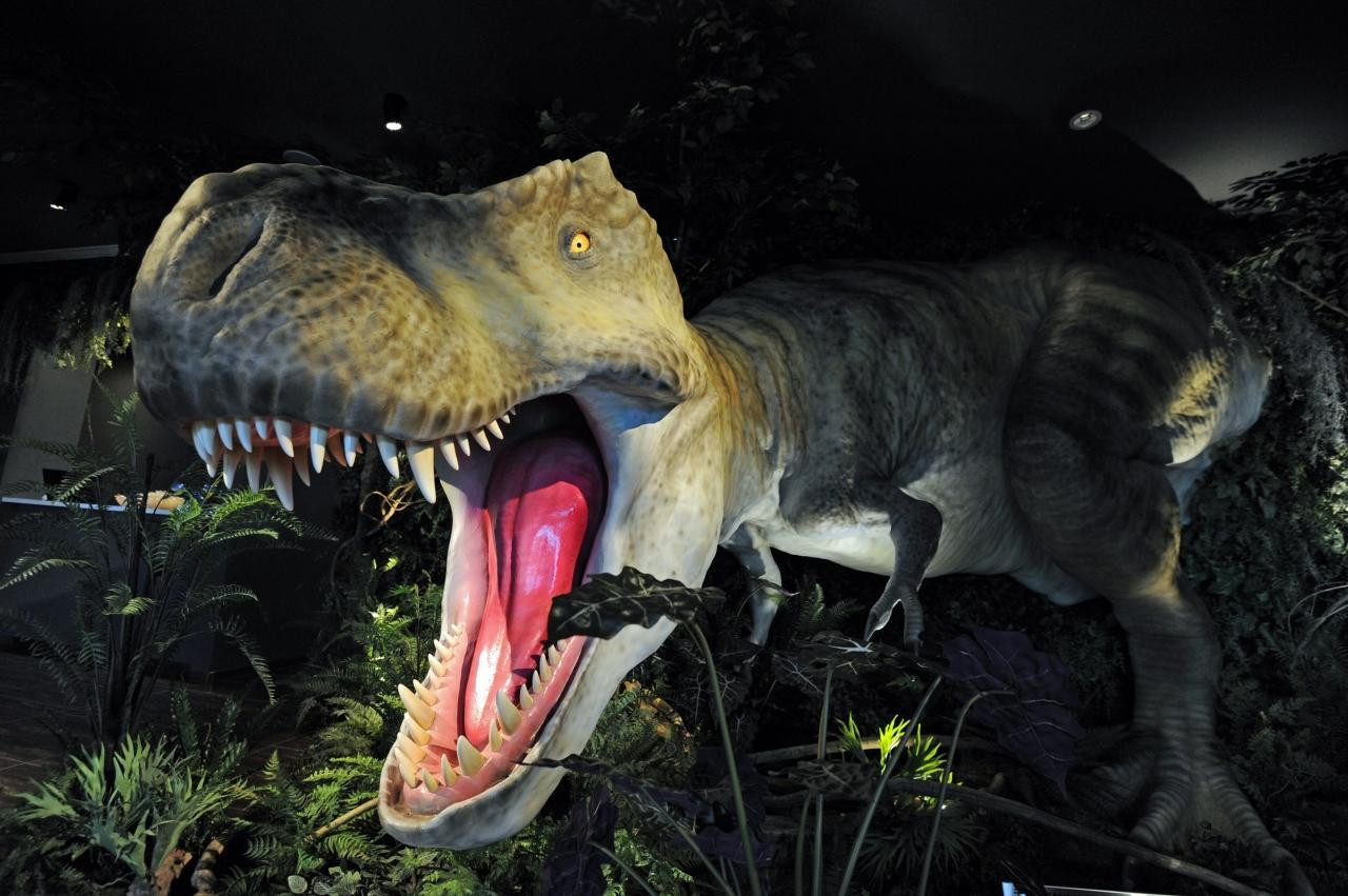 ロボット従業員がおもてなし3663446