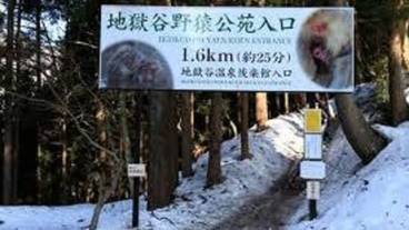 子供向けアクティビティ / 8