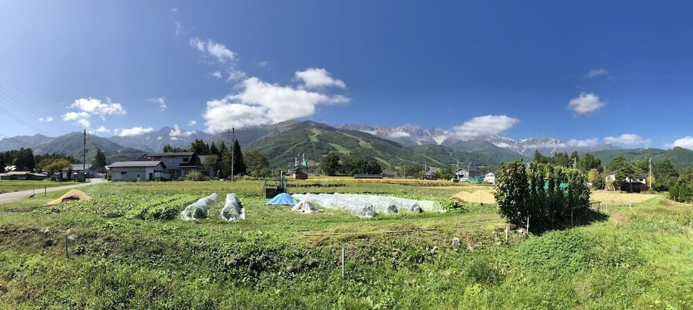 ガーデン ビュー