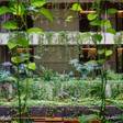 MB GALLERY CHATAN by THE TERRACE HOTELS