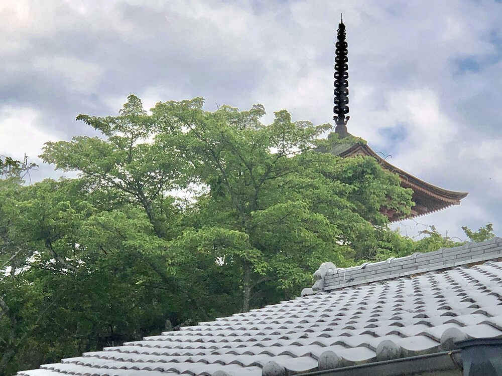 部屋からの景観