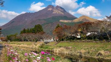 ランド ビュー / 33